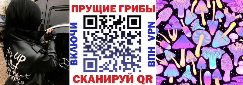 Галлюциногенные грибы Psilocybe  купить закладку  blacksprut tor  Новомосковск 